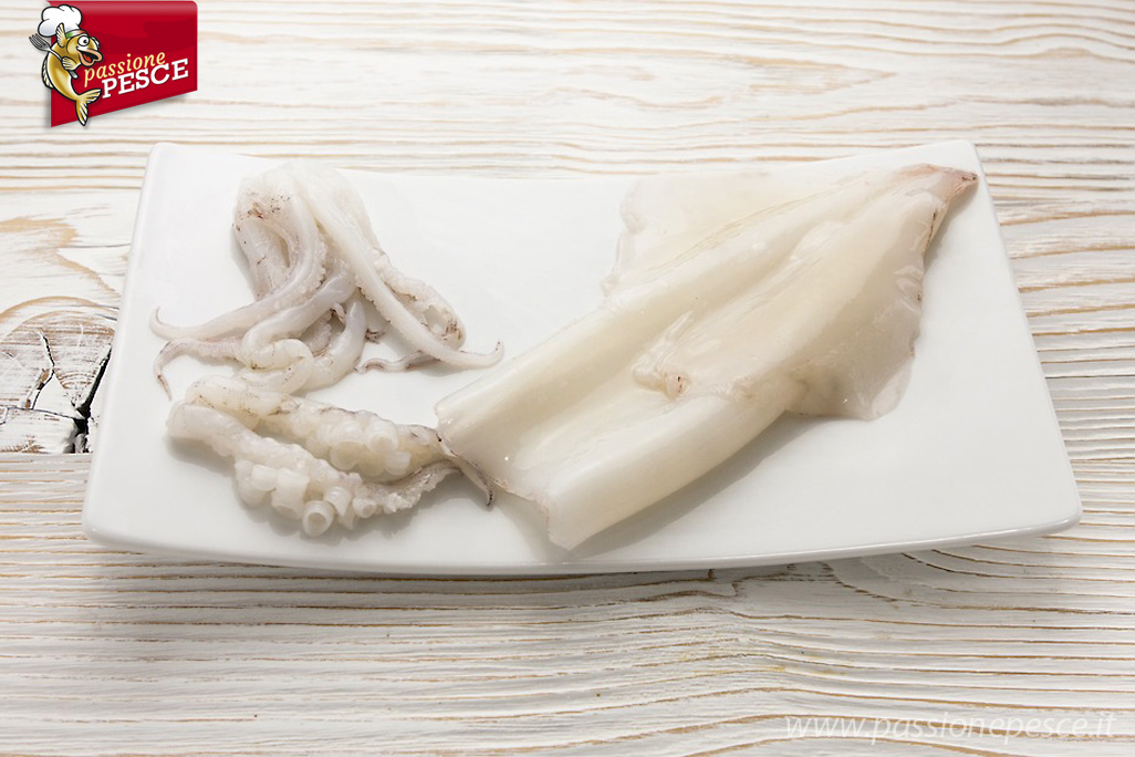 Calamari e totani puliti