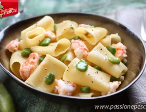 Paccheri con scampi e fave