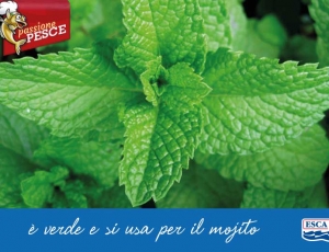 Menta